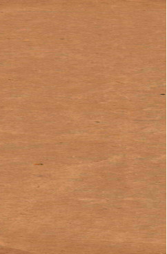 ³ÂÐÞÔ°ÆßÊ®¶þÖÖ ÁéËØ½ÚҪdzע ¾í5-12 É˺®Ò½¾÷´®½â ¾í1-6 É˺®Õæ·½¸èÀ¨ ¾í1-6µç×ÓÊé