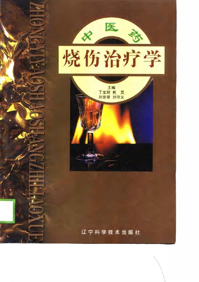中医药烧伤治疗学