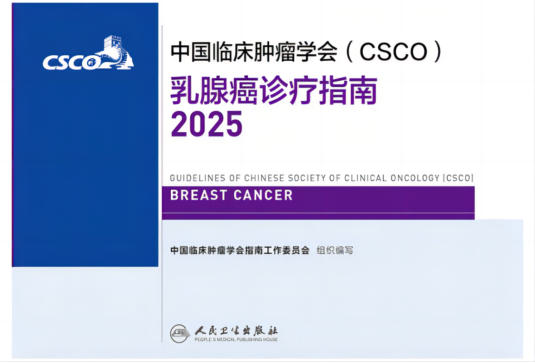 2025CSCO乳腺癌指南