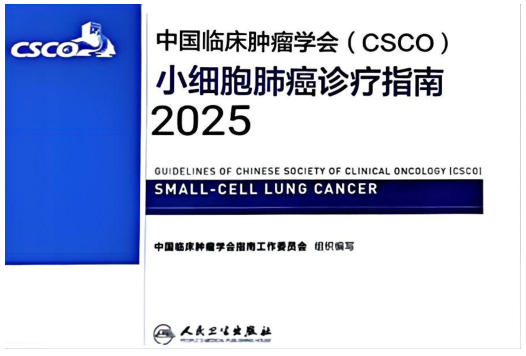 2025CSCO小细胞肺癌指南