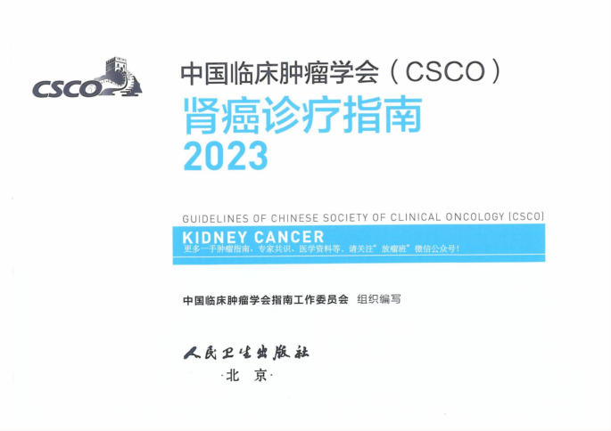 2023CSCO肾癌诊疗指南