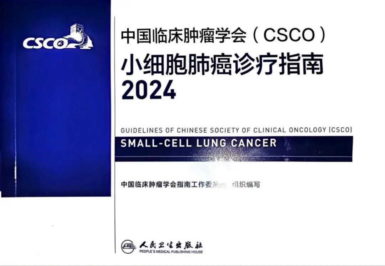 2024CSCO小细胞肺癌
