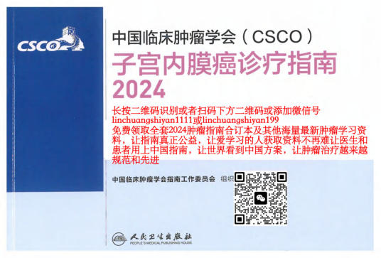 2024年CSCO子宫内膜癌诊疗指南