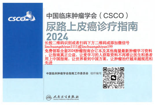 2024年CSCO尿路上皮癌诊疗指南