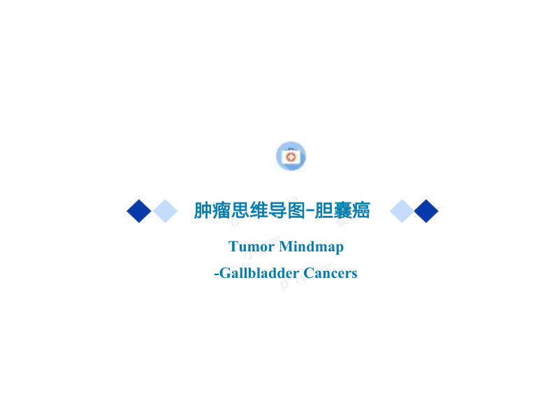 12 胆囊癌2022年CSCO思维导图
