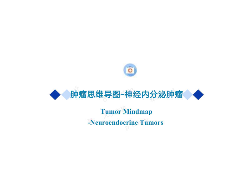 25 神经内分泌肿瘤2022年CSCO思维导图