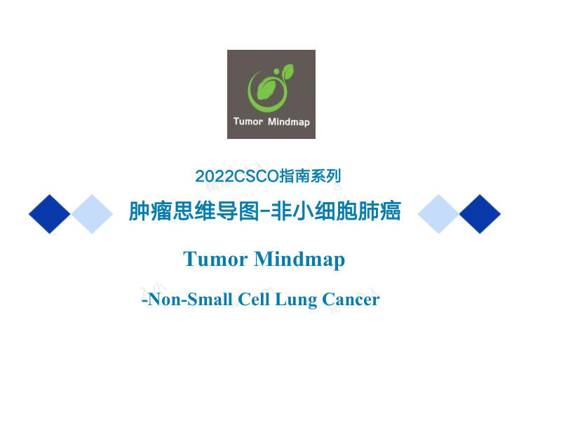 33 非小细胞肺癌2022年CSCO思维导图