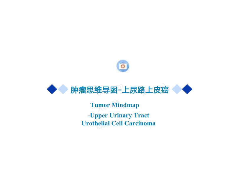 上尿路尿路上皮癌2022年CSCO思维导图