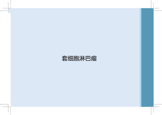 2022CSCO淋巴瘤诊疗指南_139-315