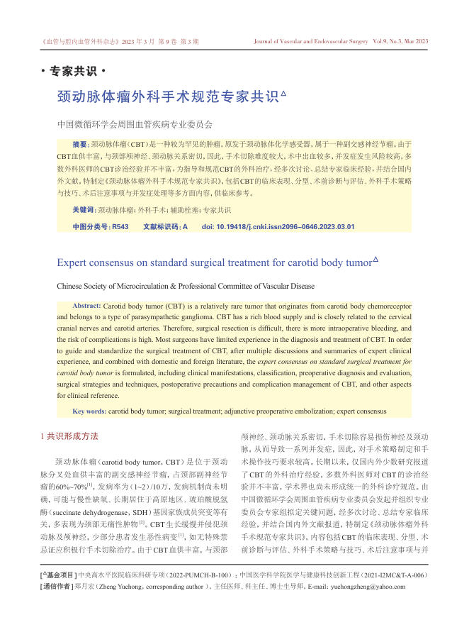 颈动脉体瘤外科手术规范专家共识