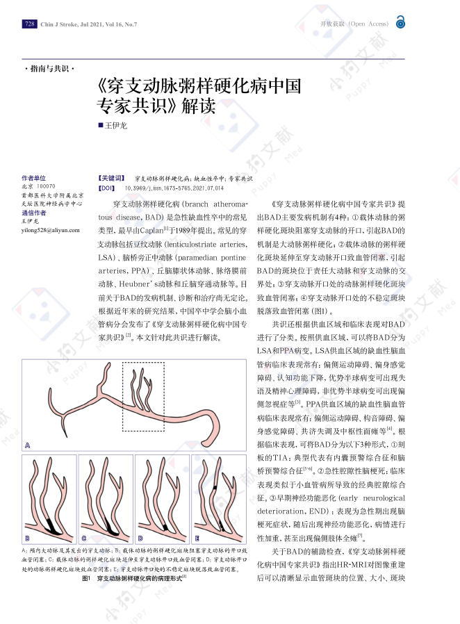 《穿支动脉粥样硬化病中国专家共识》解读