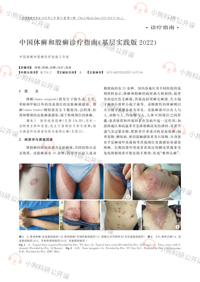 中国体癣和股癣诊疗指南(基层实践版2022)
