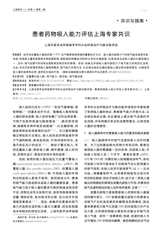 患者药物吸入能力评估上海专家共识