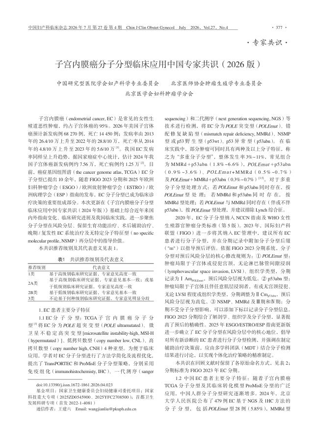 子宫内膜癌分子分型临床应用中国专家共识(2026版)