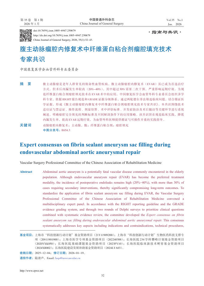 腹主动脉瘤腔内修复术中纤维蛋白粘合剂瘤腔填充技术专家共识