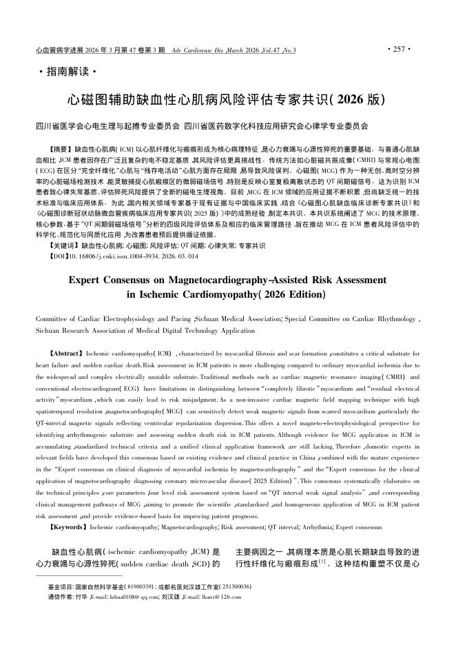 心磁图辅助缺血性心肌病风险评估专家共识(2026版)