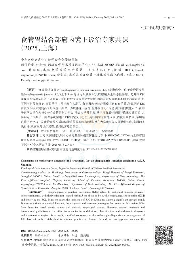 食管胃结合部癌内镜下诊治专家共识(2025,上海)