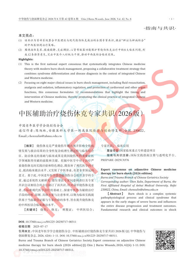 中医辅助治疗烧伤休克专家共识(2026版)