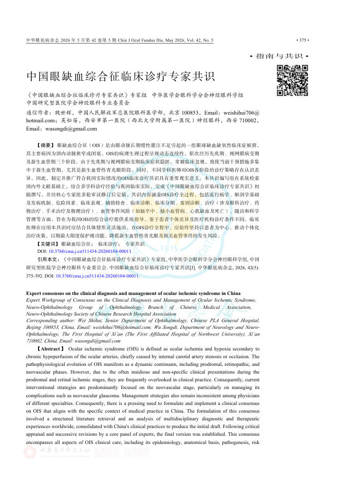 中国眼缺血综合征临床诊疗专家共识