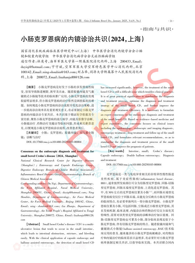 小肠克罗恩病的内镜诊治共识(2024,上海)