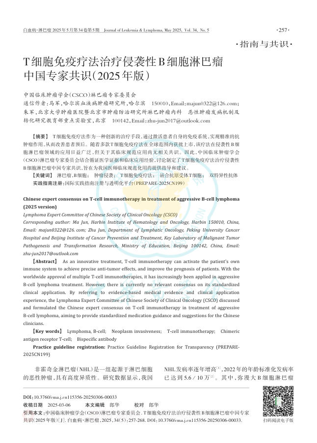 T细胞免疫疗法治疗侵袭性B细胞淋巴瘤中国专家共识(2025年版)