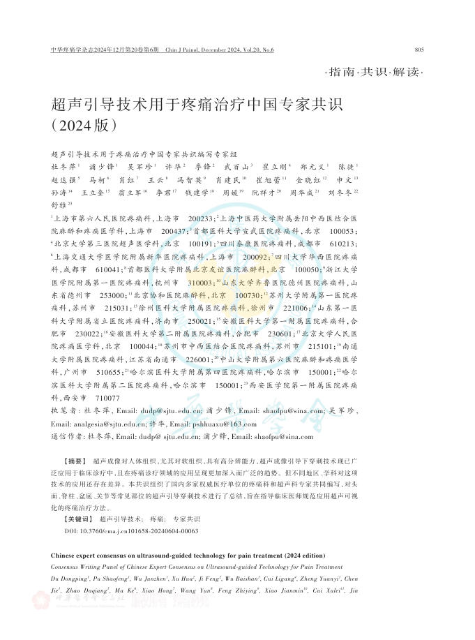 超声引导技术用于疼痛治疗中国专家共识(2024版)