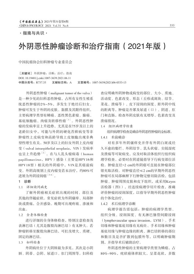 2021年外阴恶性肿瘤诊断和治疗指南