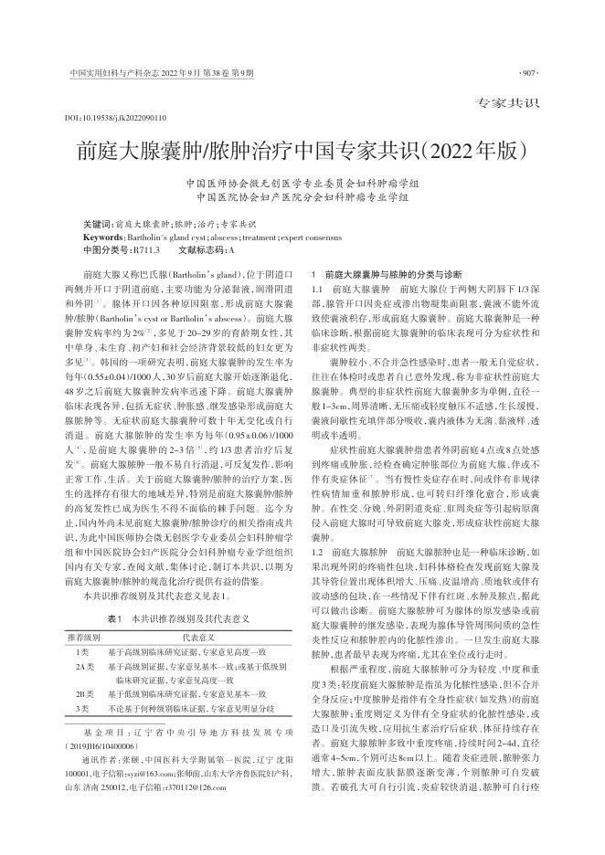2022年前庭大腺囊肿 脓肿治疗中国专家共识