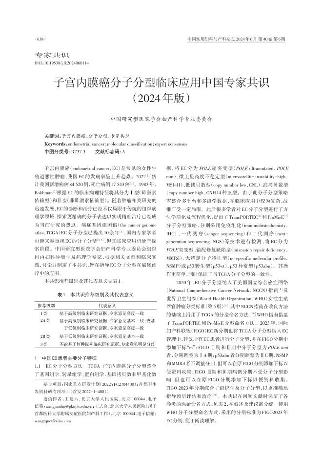 2024年子宫内膜癌分子分型临床应用中国专家共识