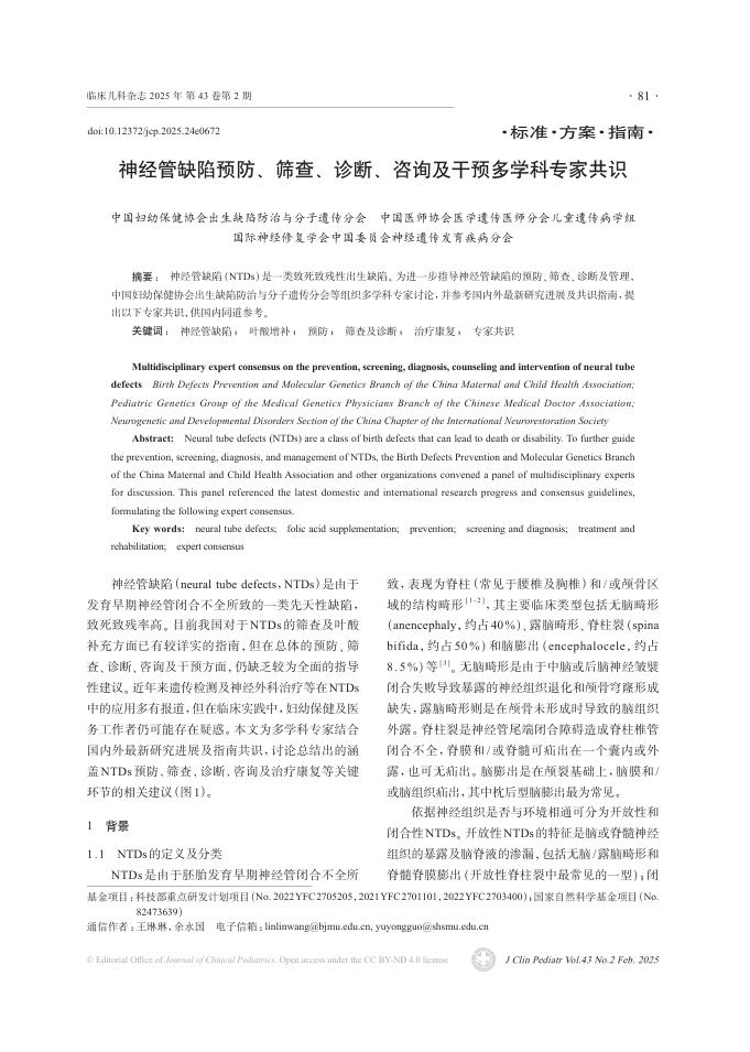 神经管缺陷预防、筛查、诊断、咨询及干预多学科专家共识