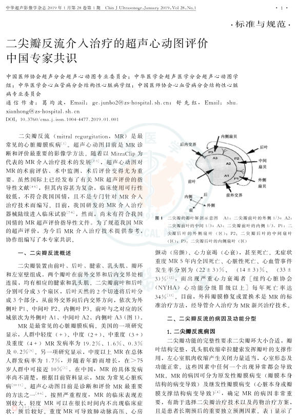 2019年二尖瓣反流介入治疗的超声心动图评价中国专家共识