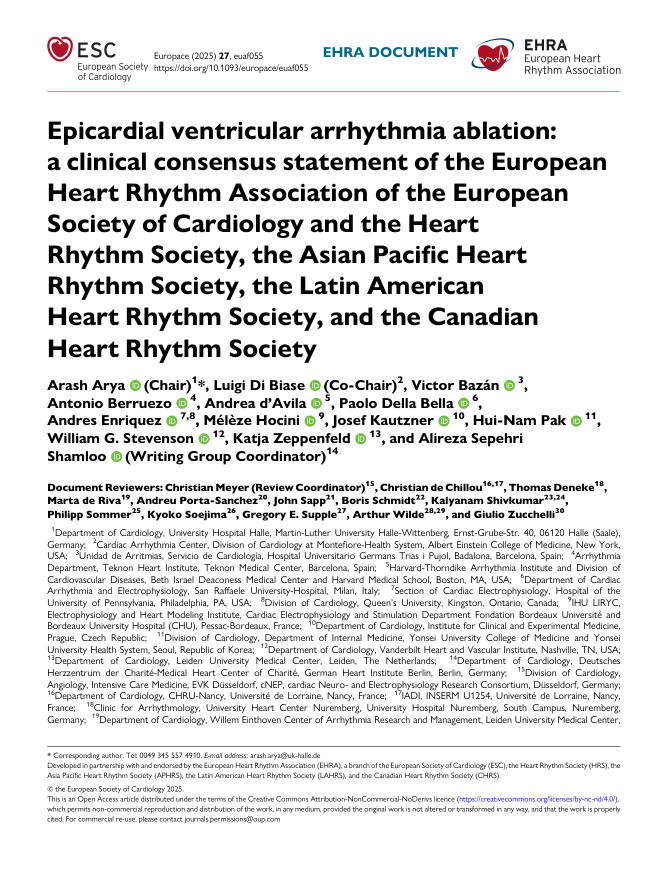 2025 EHRA/APHRS/LAHRS/CH RS临床共识 声明:心外膜 室性心律失常消融
