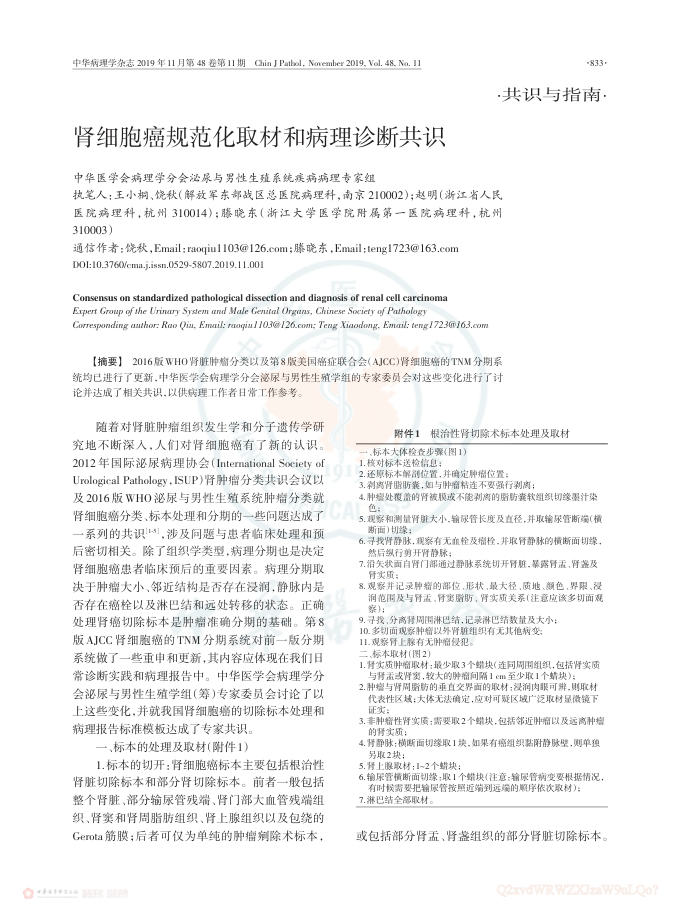 2019年肾细胞癌规范化取材和病理诊断共识