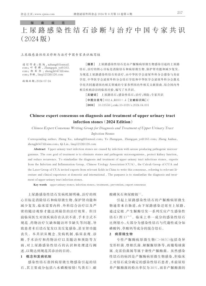 2024年上尿路感染性结石诊断与治疗中国专家共识
