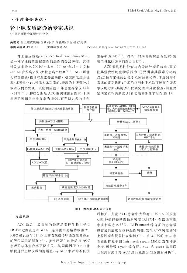 2021年肾上腺皮质癌诊治专家共识