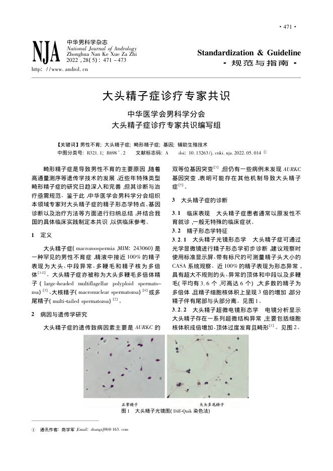 2022年大头精子症诊疗专家共识