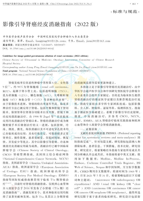 2022年影像引导肾癌经皮消融指南