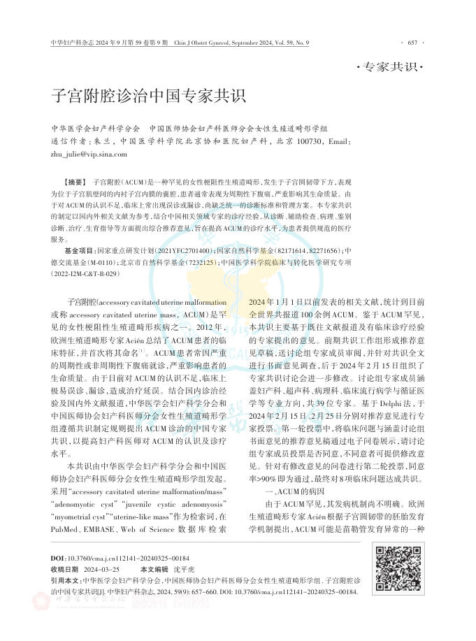 子宫附腔诊治中国专家共识