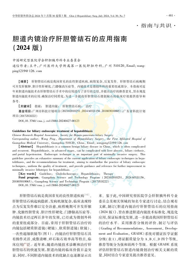 胆道内镜治疗肝胆管结石的应用指南(2024版)