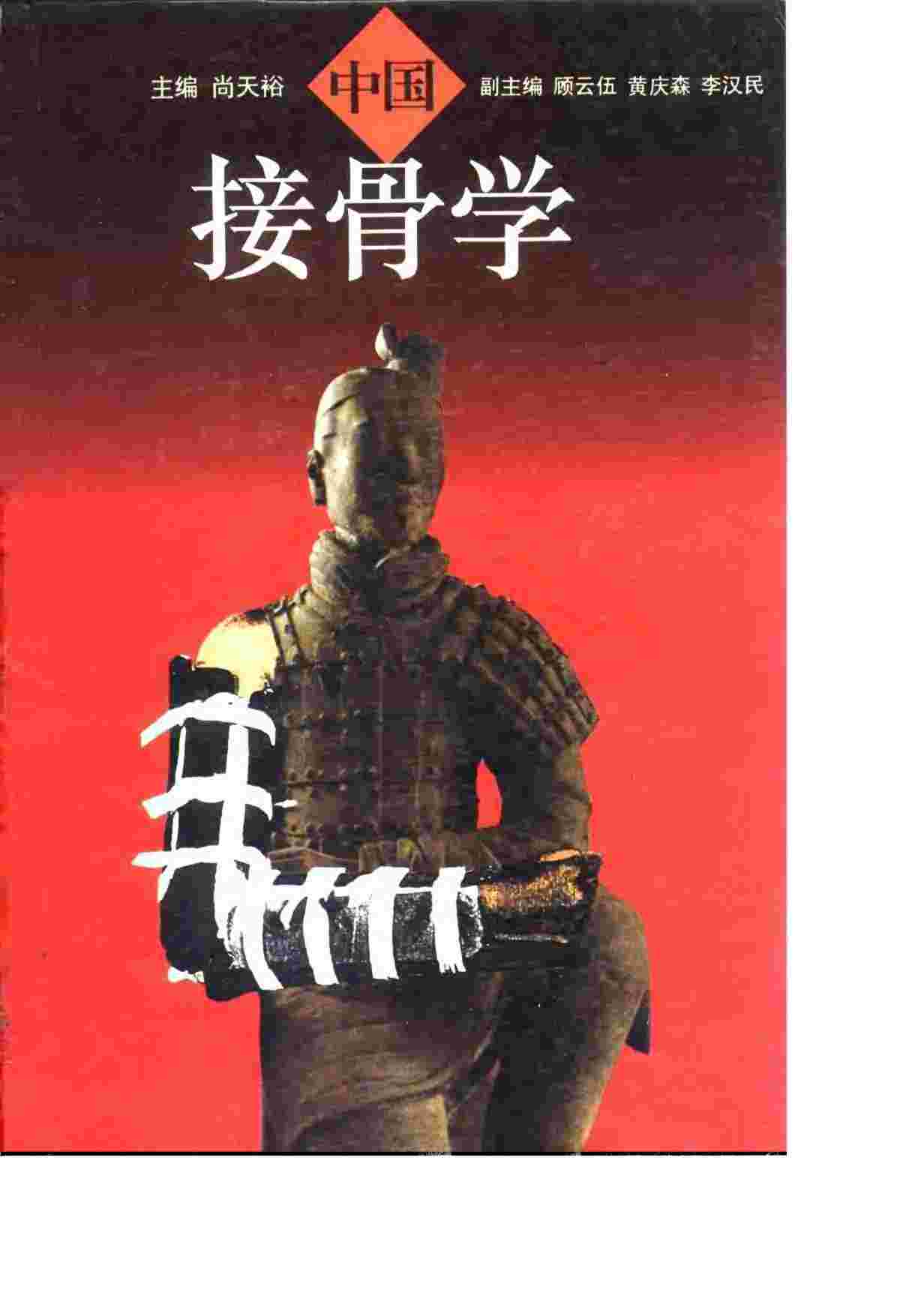 中国接骨学