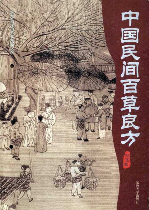 中国民间本草良方PDF电子书下载中医教学-中医资料-中医医案-中医针灸-古籍珍本-中医基础-中医经典-中医-名家学术-中医男科-疾病专治-经方论治-名族医药-中医方剂-中药本草-中医拔罐-中医刮痧-推拿按摩-中医内科-中西结合-中医妇科-中医皮肤-中医医话-中医外科-中医儿科-中医儿科-海外中医-特色疗法-中医骨伤-中医四诊-中医养生阁