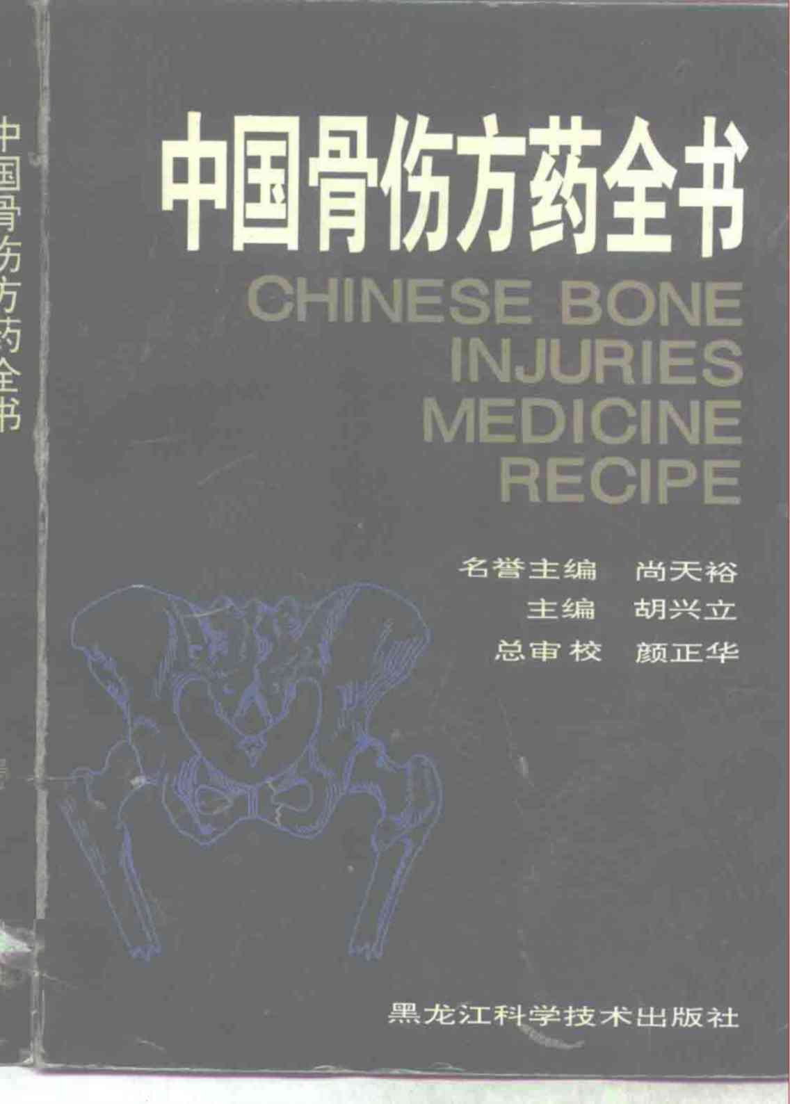 中国骨伤方药全书