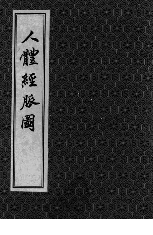 人体经脉图