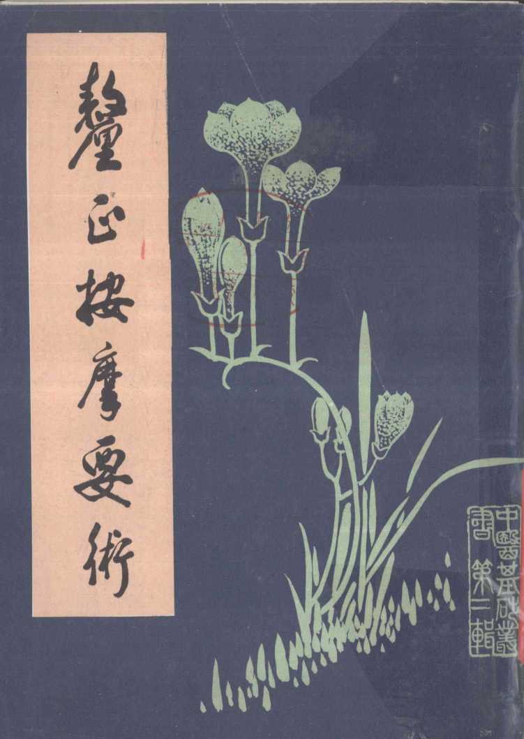 厘正按摩要术