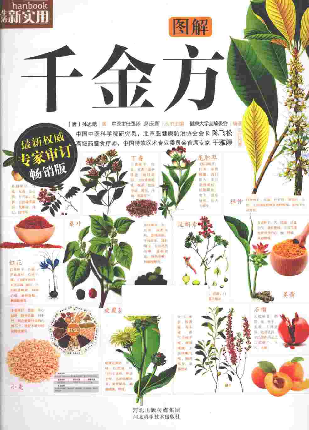 图解千金方