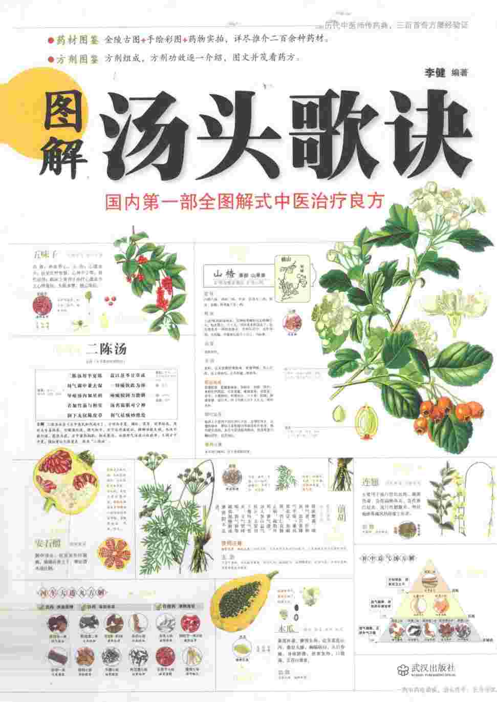 图解汤头歌诀