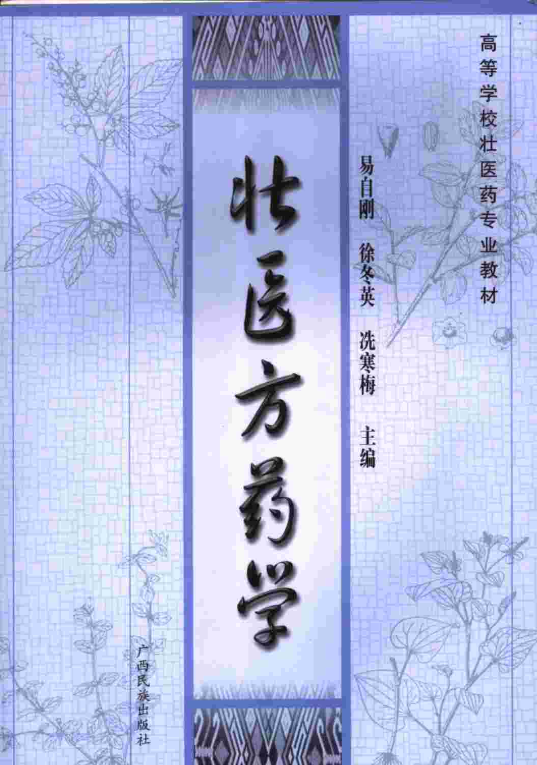 壮医方药学