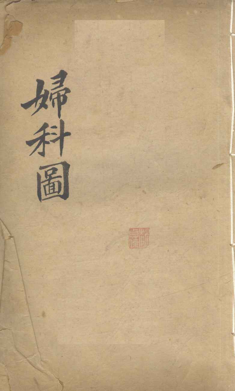 妇科图