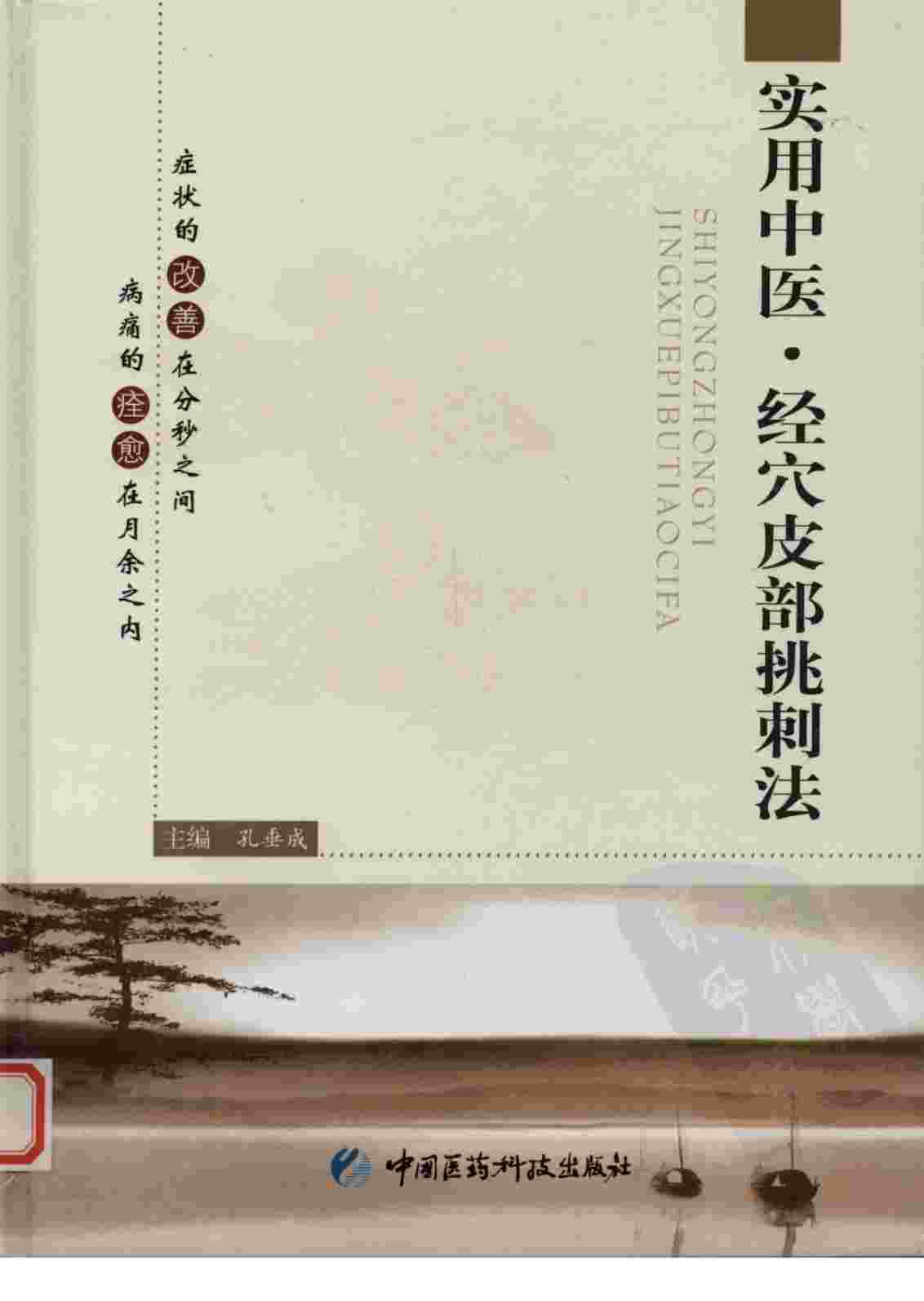 实用中医经穴皮部挑刺法