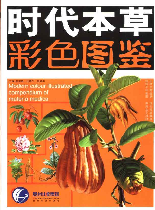时代本草彩色图鉴PDF电子书下载中医教学-中医资料-中医医案-中医针灸-古籍珍本-中医基础-中医经典-中医-名家学术-中医男科-疾病专治-经方论治-名族医药-中医方剂-中药本草-中医拔罐-中医刮痧-推拿按摩-中医内科-中西结合-中医妇科-中医皮肤-中医医话-中医外科-中医儿科-中医儿科-海外中医-特色疗法-中医骨伤-中医四诊-中医养生阁